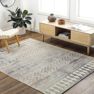 Livabliss Roma ROM-2406 Sterling Grey Area Rug