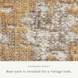 Chris Loves Julia x Loloi Rosemarie ROE-01 Gold/Sand Area Rug Main Image
