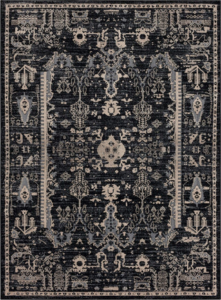 Karastan Zephyr Rotorua Soot Area Rug