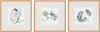 Surya Sumerian RUS-001 Wall Art Main