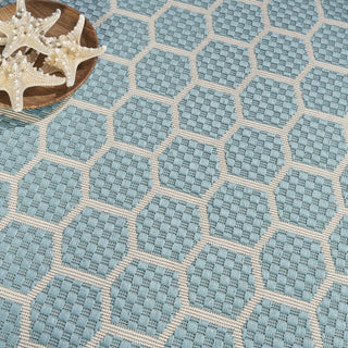 Nourison Reversible Indoor Outdoor RVB01 Aqua Area Rug Corner Image
