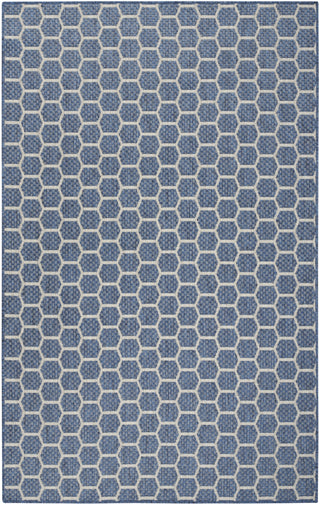 Nourison Reversible Indoor Outdoor RVB01 Blue Area Rug Main Image