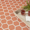 Nourison Reversible Indoor Outdoor RVB01 Coral Area Rug Corner Image
