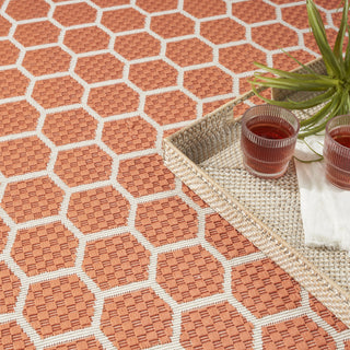 Nourison Reversible Indoor Outdoor RVB01 Coral Area Rug Corner Image