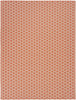 Nourison Reversible Indoor Outdoor RVB01 Coral Area Rug Main Image