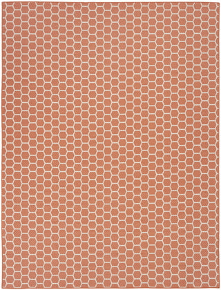 Nourison Reversible Indoor Outdoor RVB01 Coral Area Rug Main Image