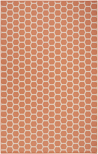 Nourison Reversible Indoor Outdoor RVB01 Coral Area Rug Main Image