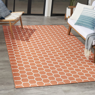 Nourison Reversible Indoor Outdoor RVB01 Coral Area Rug Room Image Feature