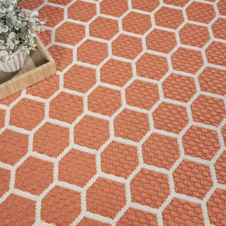 Nourison Reversible Indoor Outdoor RVB01 Coral Area Rug Corner Image