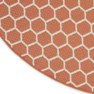 Nourison Reversible Indoor Outdoor RVB01 Coral Area Rug T' R