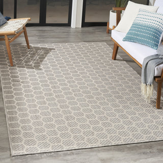 Nourison Reversible Indoor Outdoor RVB01 Grey Area Rug Room Image Feature