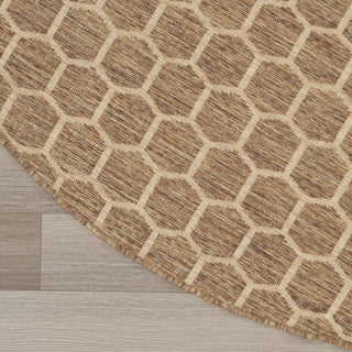Nourison Reversible Indoor Outdoor RVB01 Natural Area Rug Detail Image
