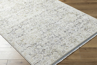 Livabliss Rivaldo RVD-2303 Area Rug