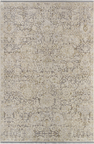 Livabliss Rivaldo RVD-2303 Area Rug