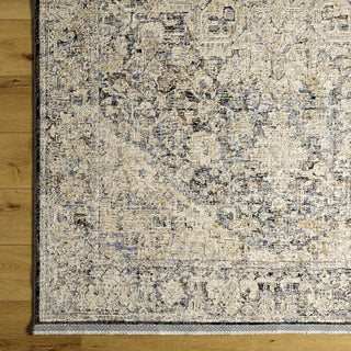 Livabliss Rivaldo RVD-2303 Area Rug