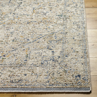 Livabliss Rivaldo RVD-2307 Area Rug