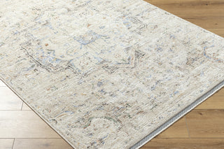 Livabliss Rivaldo RVD-2308 Area Rug