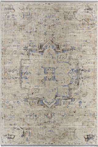 Livabliss Rivaldo RVD-2308 Area Rug