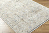 Livabliss Rivaldo RVD-2309 Area Rug