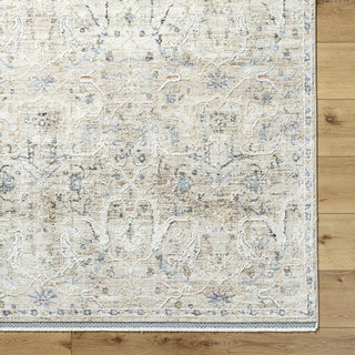 Livabliss Rivaldo RVD-2309 Area Rug