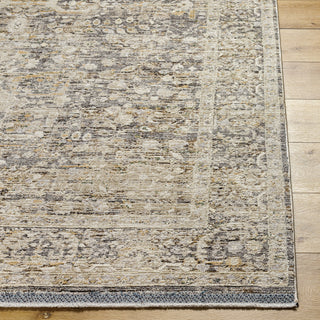 Livabliss Rivaldo RVD-2312 Area Rug