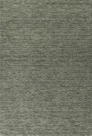 Dalyn Reya RY7 Carbon Area Rug 