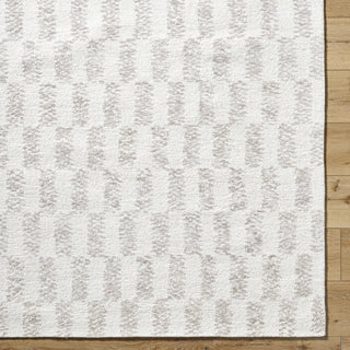 Livabliss Rize RZE-2300 Light Silver Area Rug Detail Image