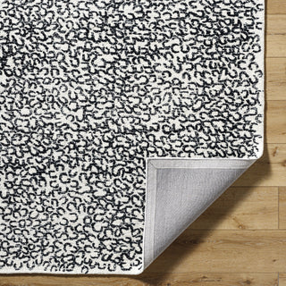 Livabliss Rize RZE-2312 Light Silver Area Rug Pile