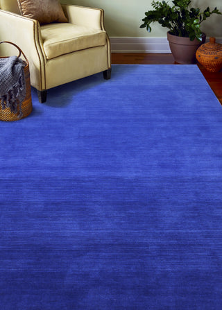 Bashian Contempo S176-ALM197 Cobalt Area Rug