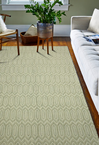 Bashian Soho S176-101 Light Green Area Rug