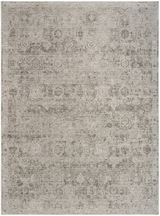 Nourison Pure Shades SAD01 Grey Area Rug by DKNY main image