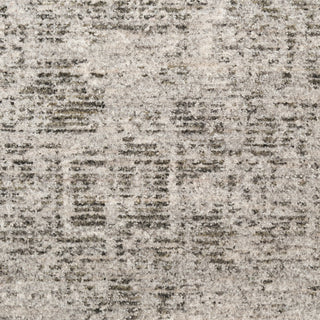 Nourison Pure Shades SAD01 Grey Area Rug by DKNY Swatch Image