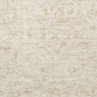 Nourison Pure Shades SAD02 Beige Area Rug by DKNY Swatch Image