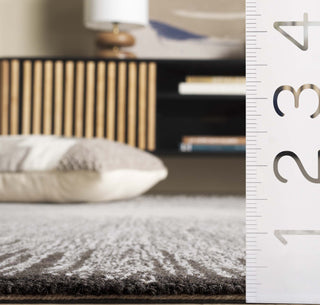 Safavieh Abstract ABT375H Ivory / Charcoal Area Rug Detail