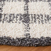 Safavieh Abstract ABT648A Ivory / Black Area Rug Detail