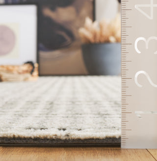 Safavieh Abstract ABT927B Beige / Dark Grey Area Rug Detail