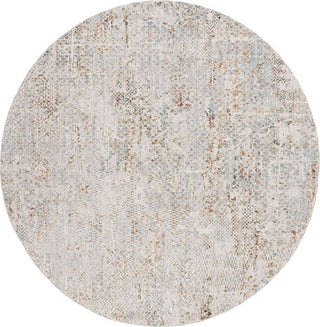 Safavieh Adrianna ADN206 Blue / Gold Area Rug