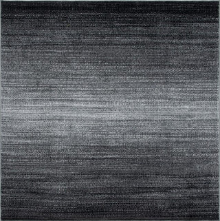 Safavieh Adirondack ADR183A Dark Grey / Light Area Rug Square