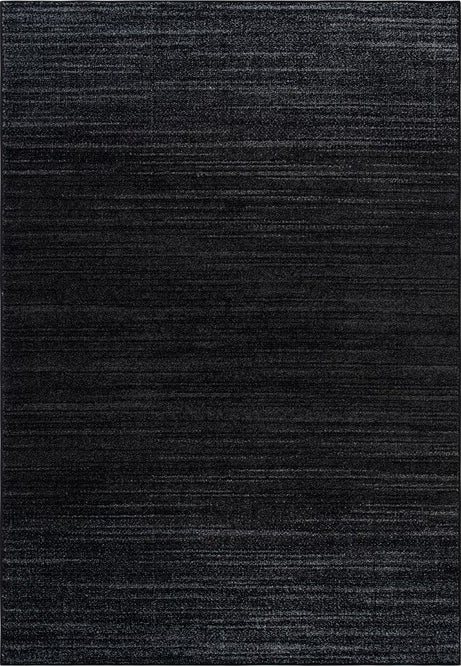 Safavieh Adirondack ADR284F Black / Grey Area Rug main image