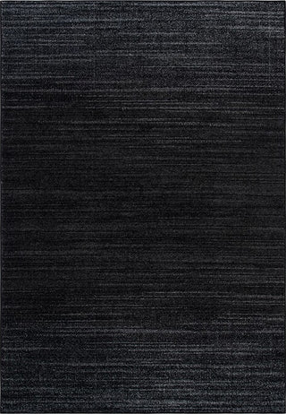 Safavieh Adirondack ADR284F Black / Grey Area Rug main image