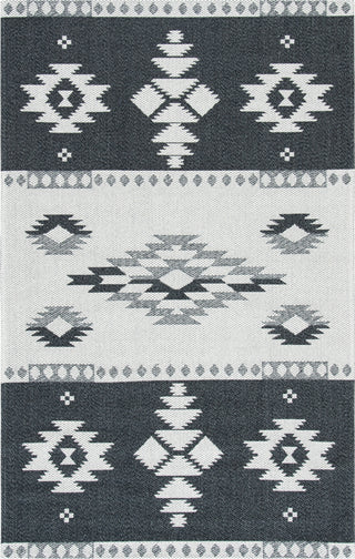 Safavieh Augustine AGT426 Black / Light Grey Area Rug