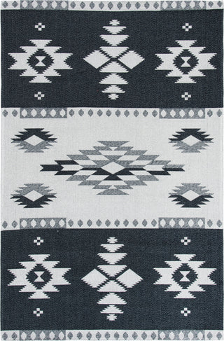 Safavieh Augustine AGT426 Black / Light Grey Area Rug