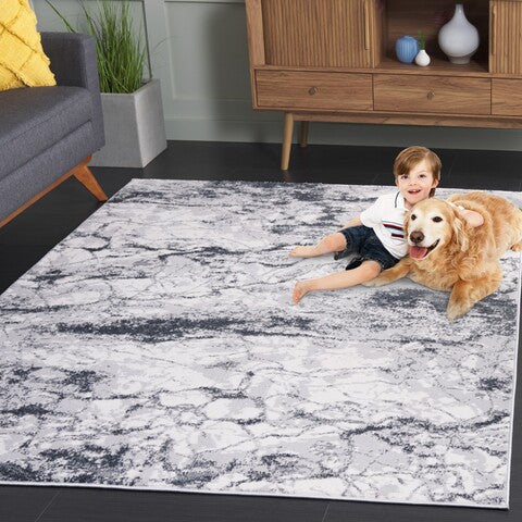 Safavieh Alenia ALN111 Grey / Dark Area Rug Room Scene Feature