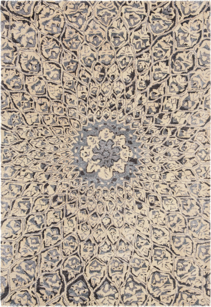 Safavieh Allure ALR419 Ivory / Charcoal Area Rug