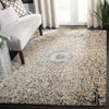 Safavieh Allure ALR419 Ivory / Charcoal Area Rug