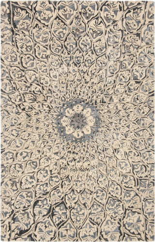 Safavieh Allure ALR419 Ivory / Charcoal Area Rug