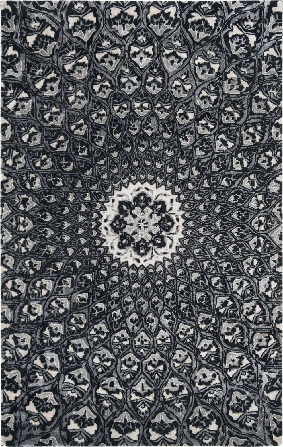 Safavieh Allure ALR419 Ivory/Black Area Rug