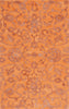 Safavieh Anatolia AN401P Rust Area Rug main image