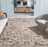 Safavieh Anatolia AN401T Ivory / Brown Area Rug Room Scene Feature