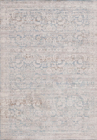 Safavieh Antique Patina ANP634F Grey / Blue Area Rug main image